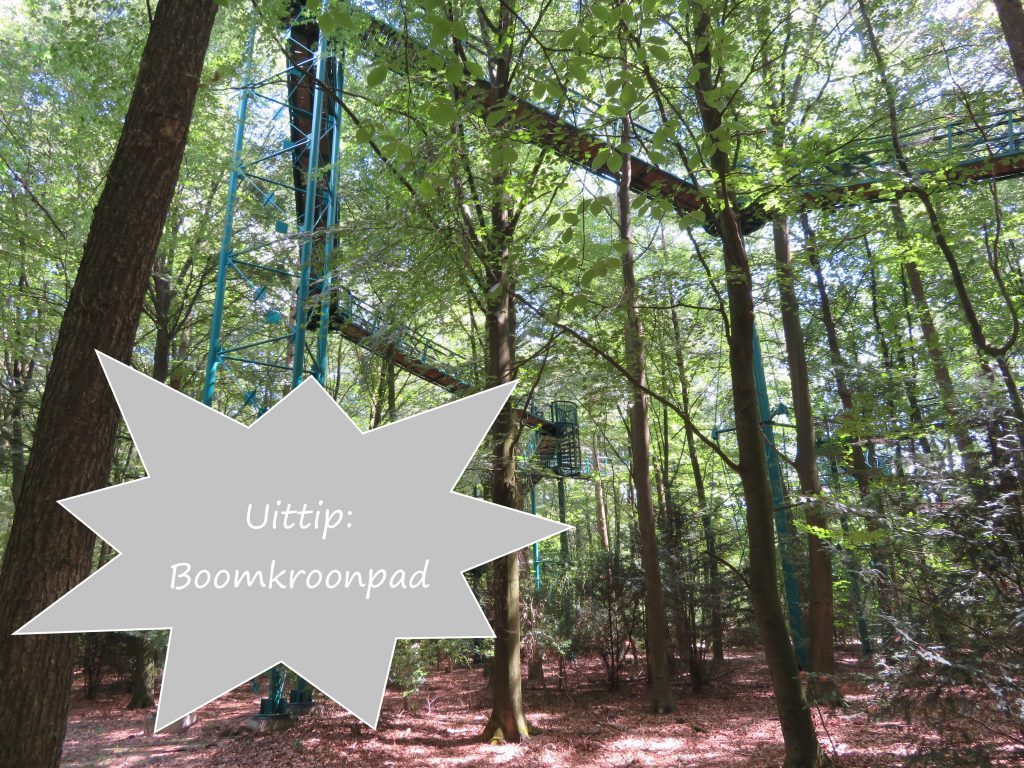 Uittip: Boomkroonpad