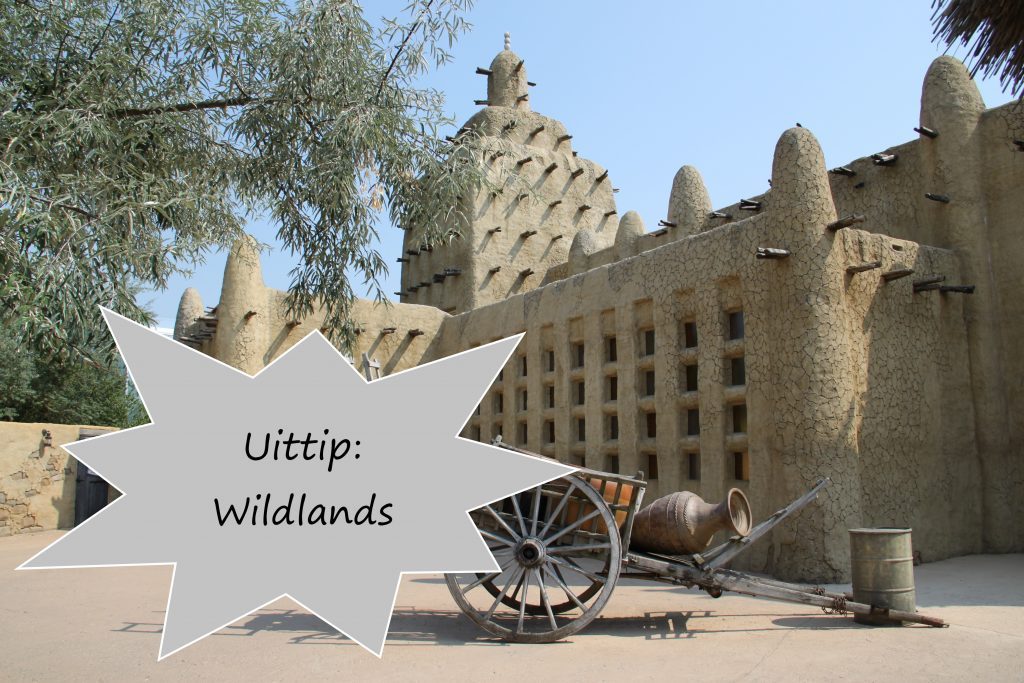 Uittip: Wildlands Adventure Zoo Emmen