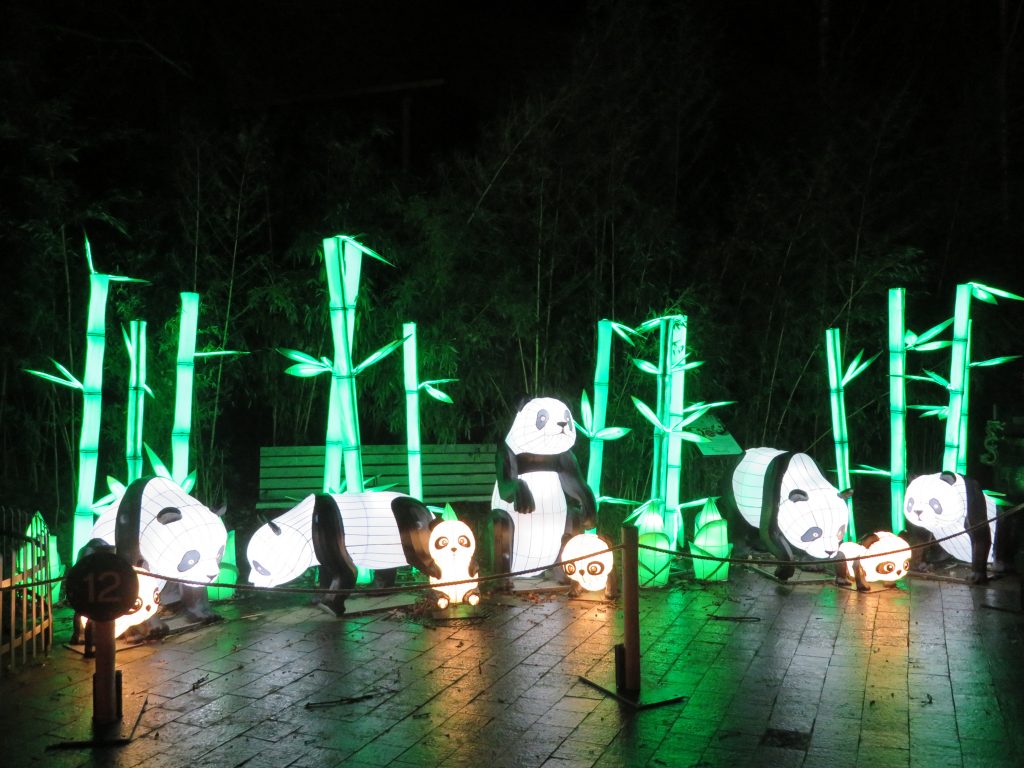 Uittip China Light festival in Ouwehands Dierenpark JufJudith.nl
