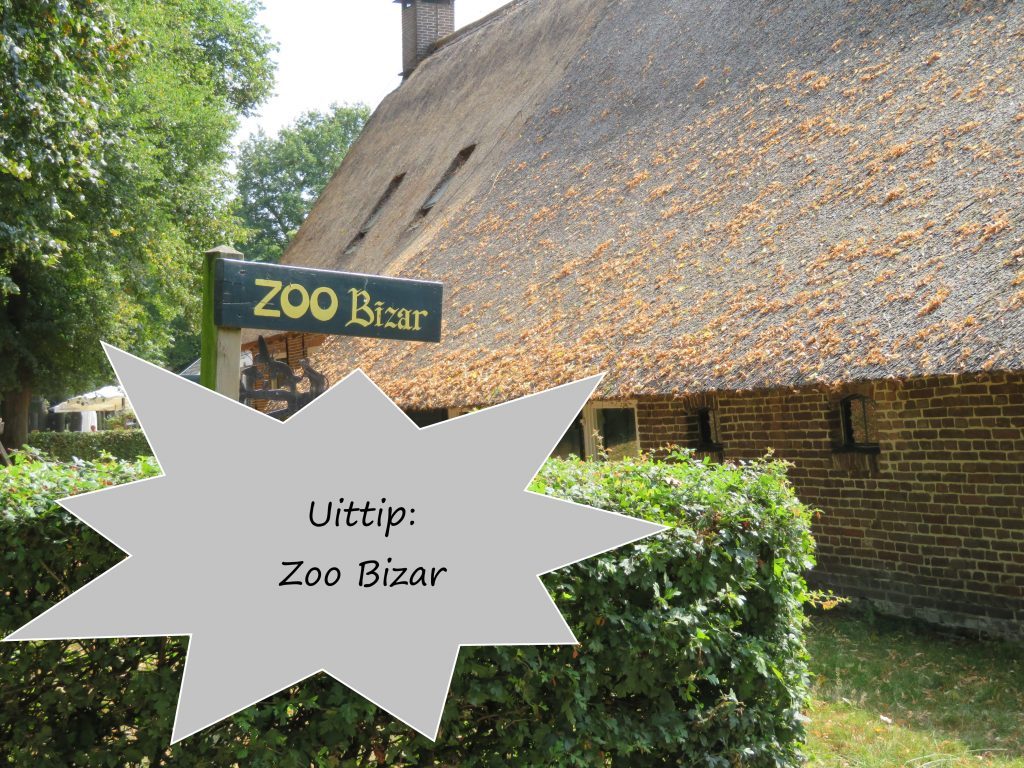 Uittip: Zoo Bizar