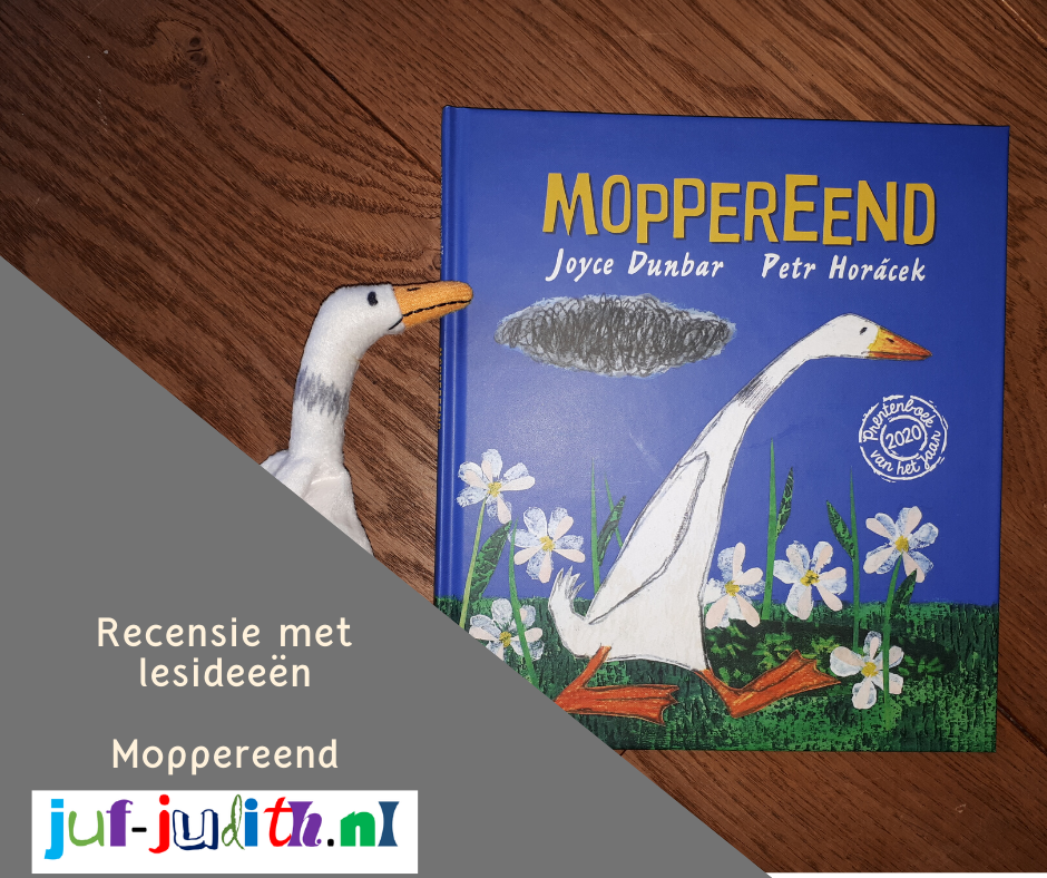 Moppereend