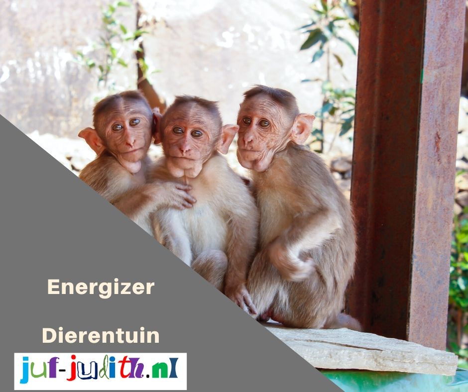 Energizer - Dierentuin