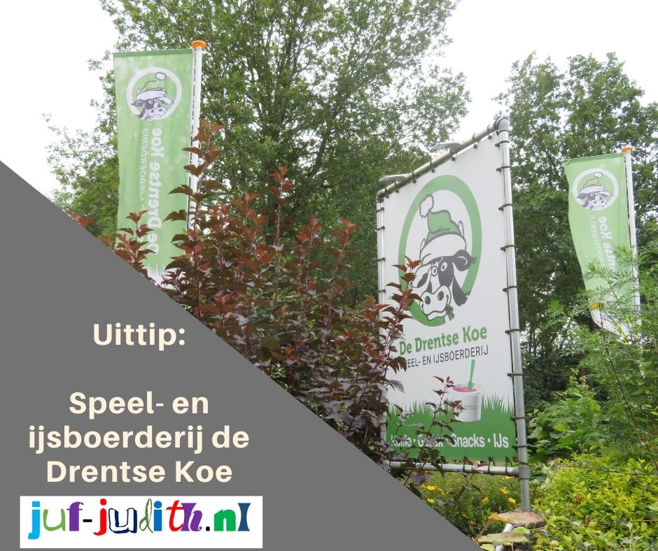 Uittip: Speel- en ijsboerderij De Drentse Koe