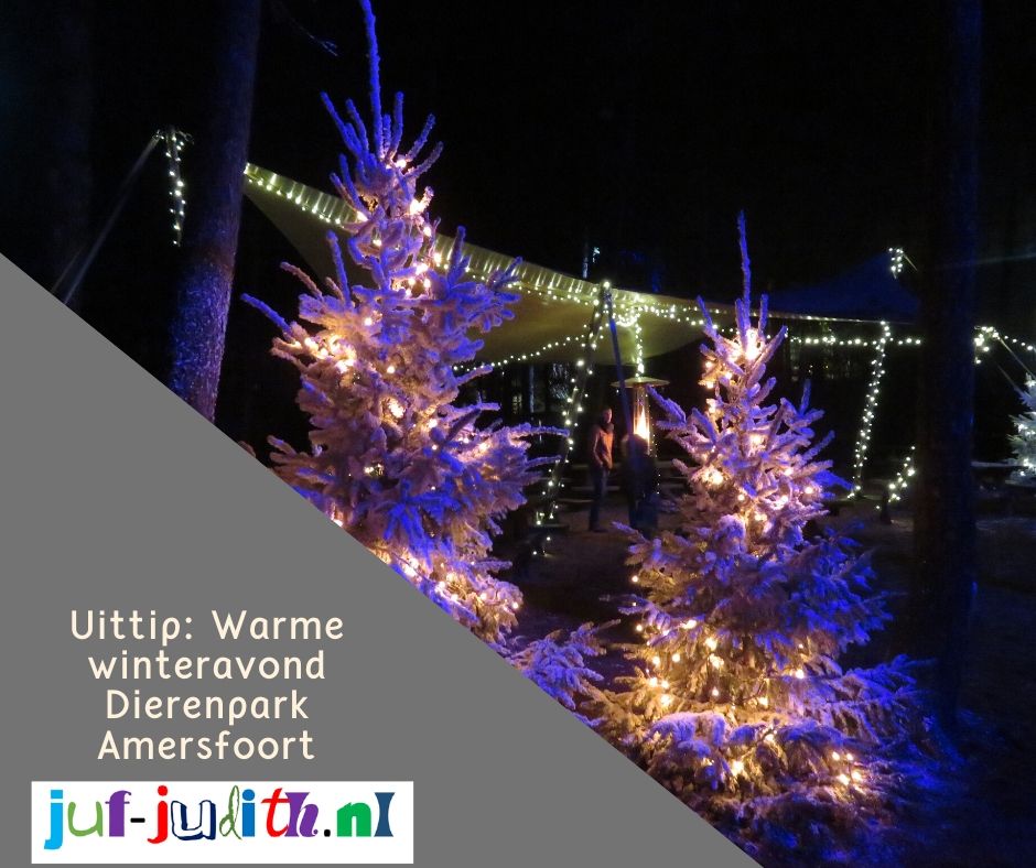 Recensie: Warme Winteravond Dierenpark Amersfoort