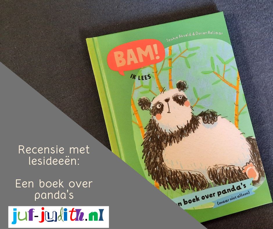 Recensie: Een boek over panda's (maar niet alleen)