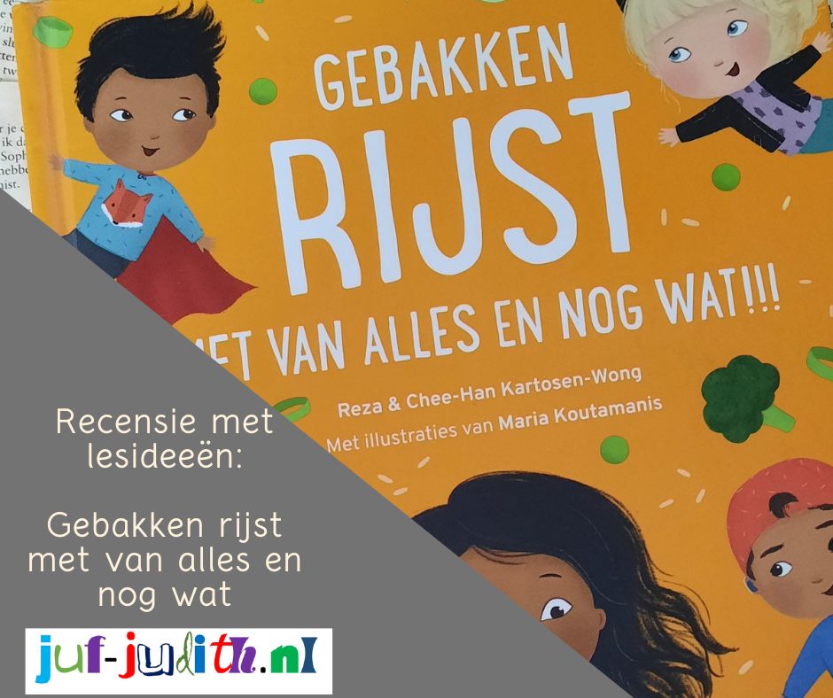 Recensie: Gebakken rijst met van alles en nog wat