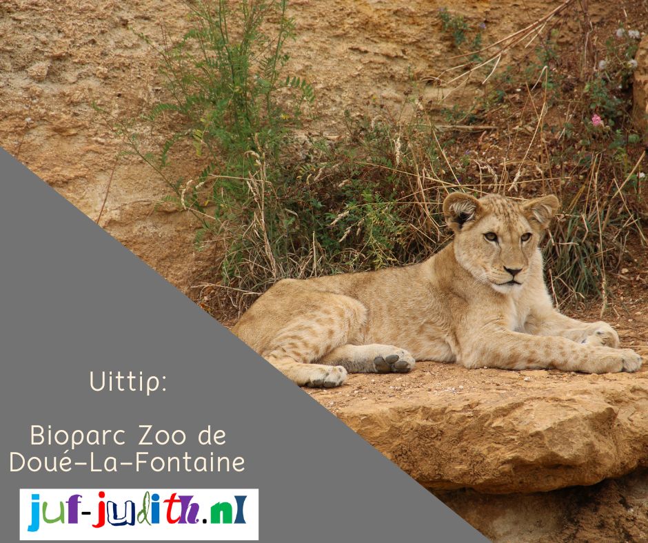 Recensie: Bioparc Zoo de Doué-La-Fontaine